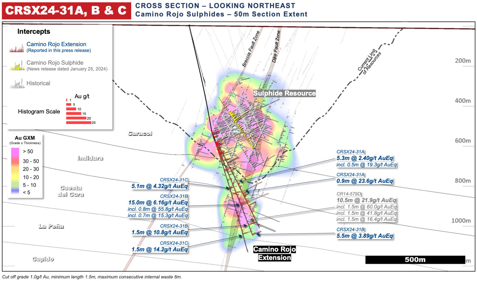 Figure 5: Camino Rojo Cross Section Drill Intersection Highlights for Fence CRSX24-31. All reported composites are in the Camino Rojo Extension