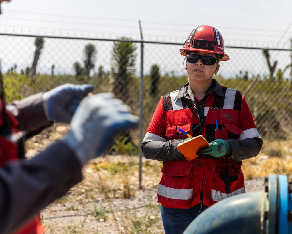 Environmental inspection