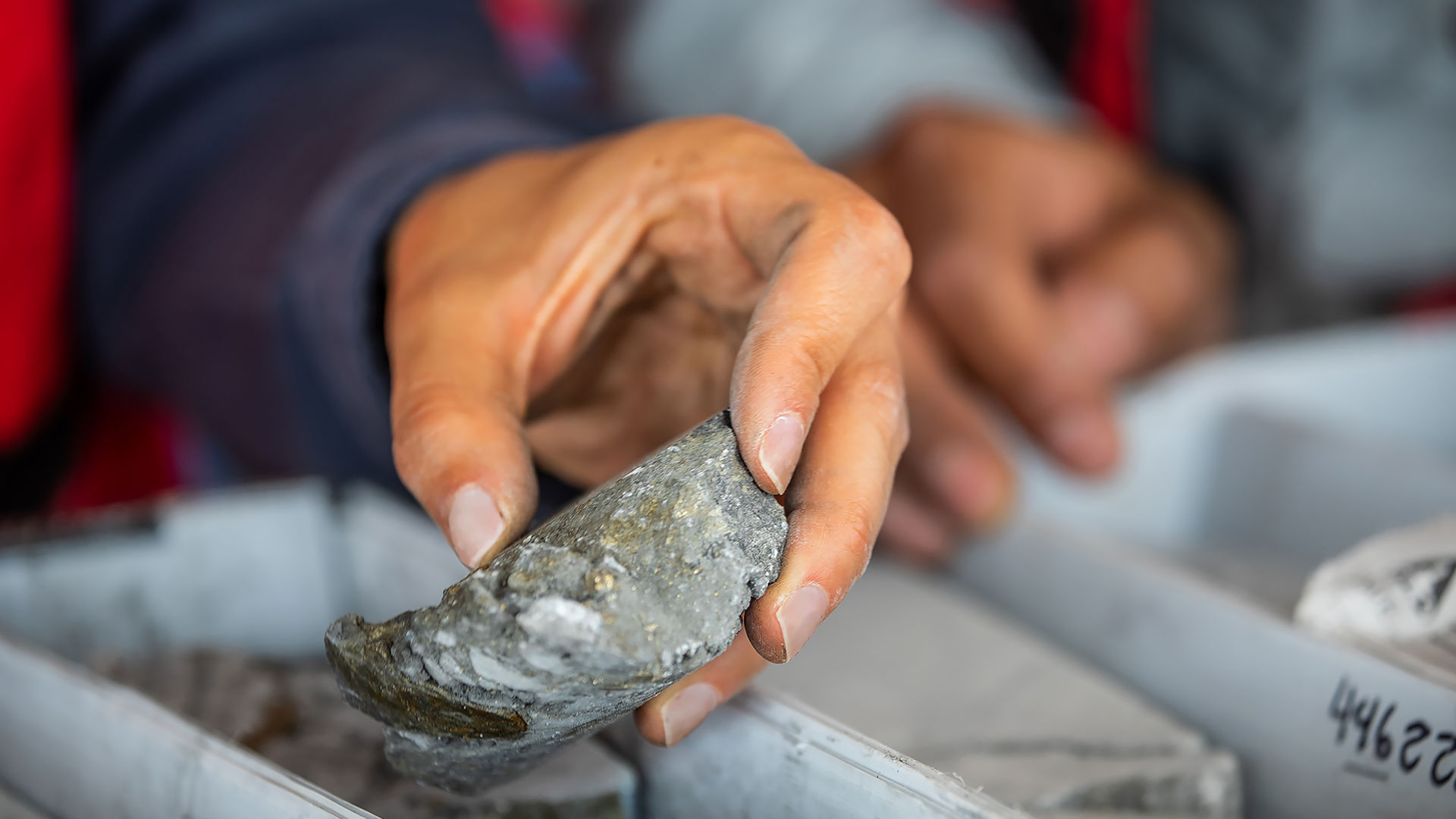 Orla Mining Discovers New Style of Sulphide Mineralization at Camino Rojo Extending 0.5km Beyond Current Resources