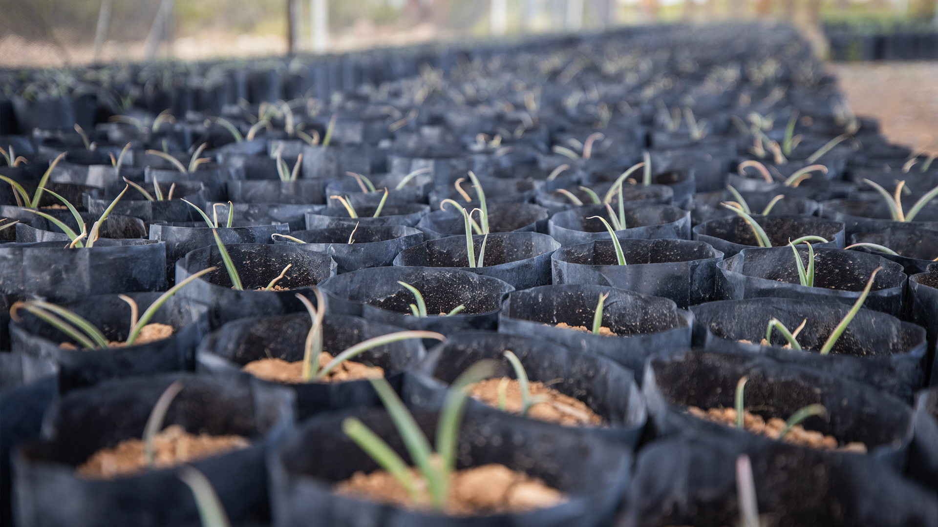 Orla Mining Announces Appointment of New Chief Sustainability Officer