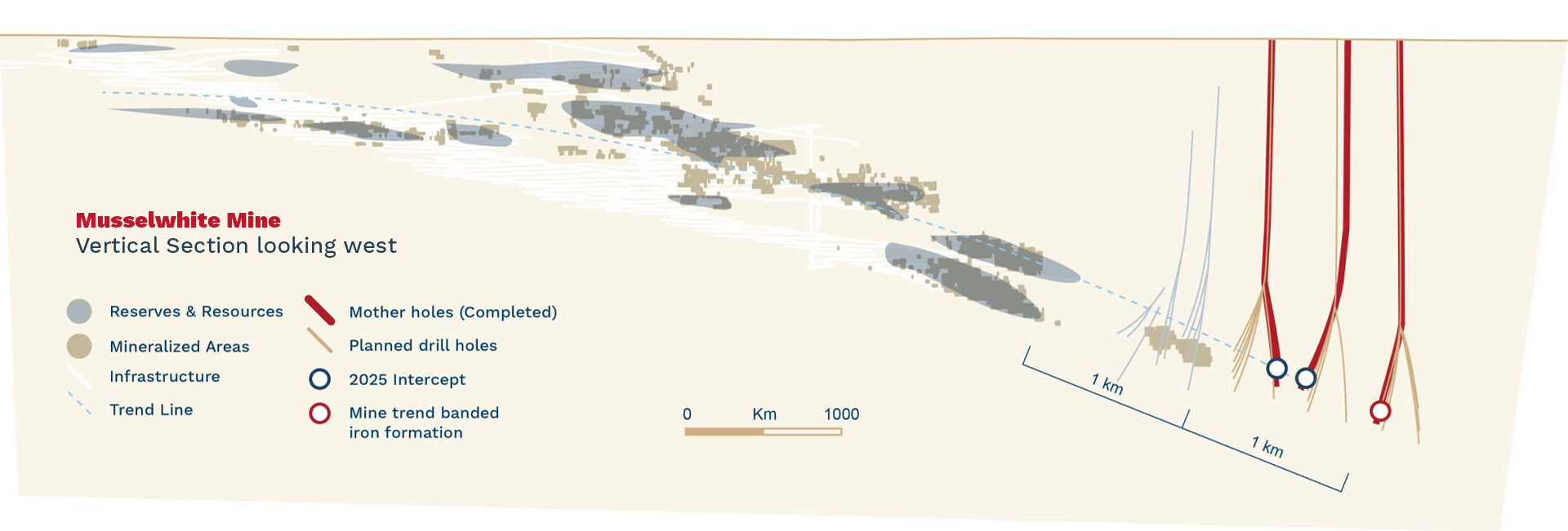 Musselwhite Long Section Trend